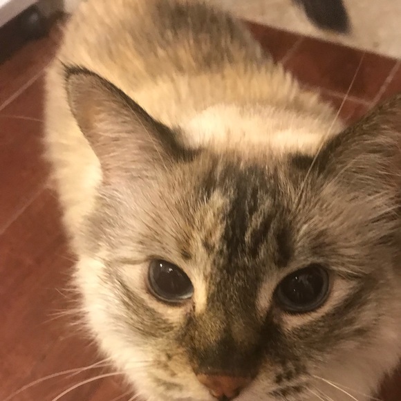 Meet your Posher, Todd - Picture 1 of 1